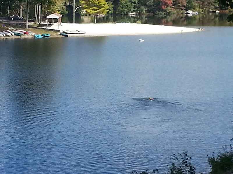 Person swimming in Lake Waubeeka