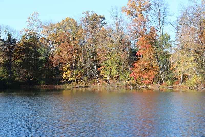 Lake Waubeeka in the fall