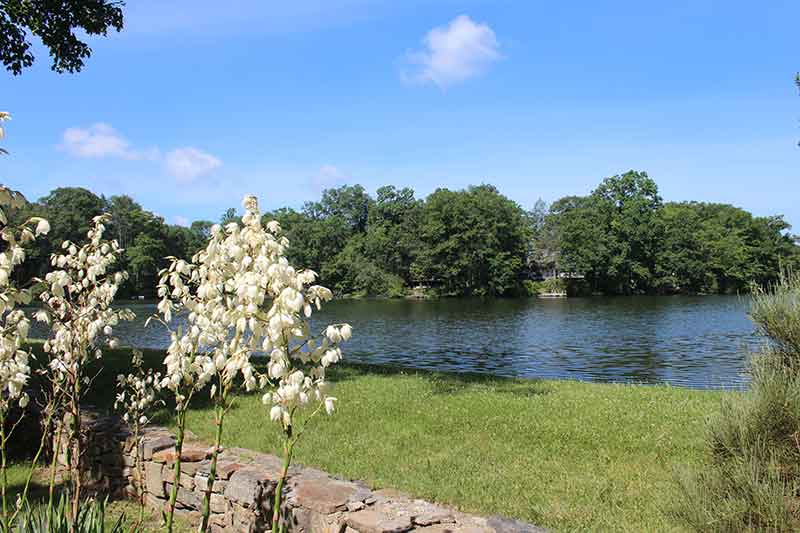 Lake Waubeeka